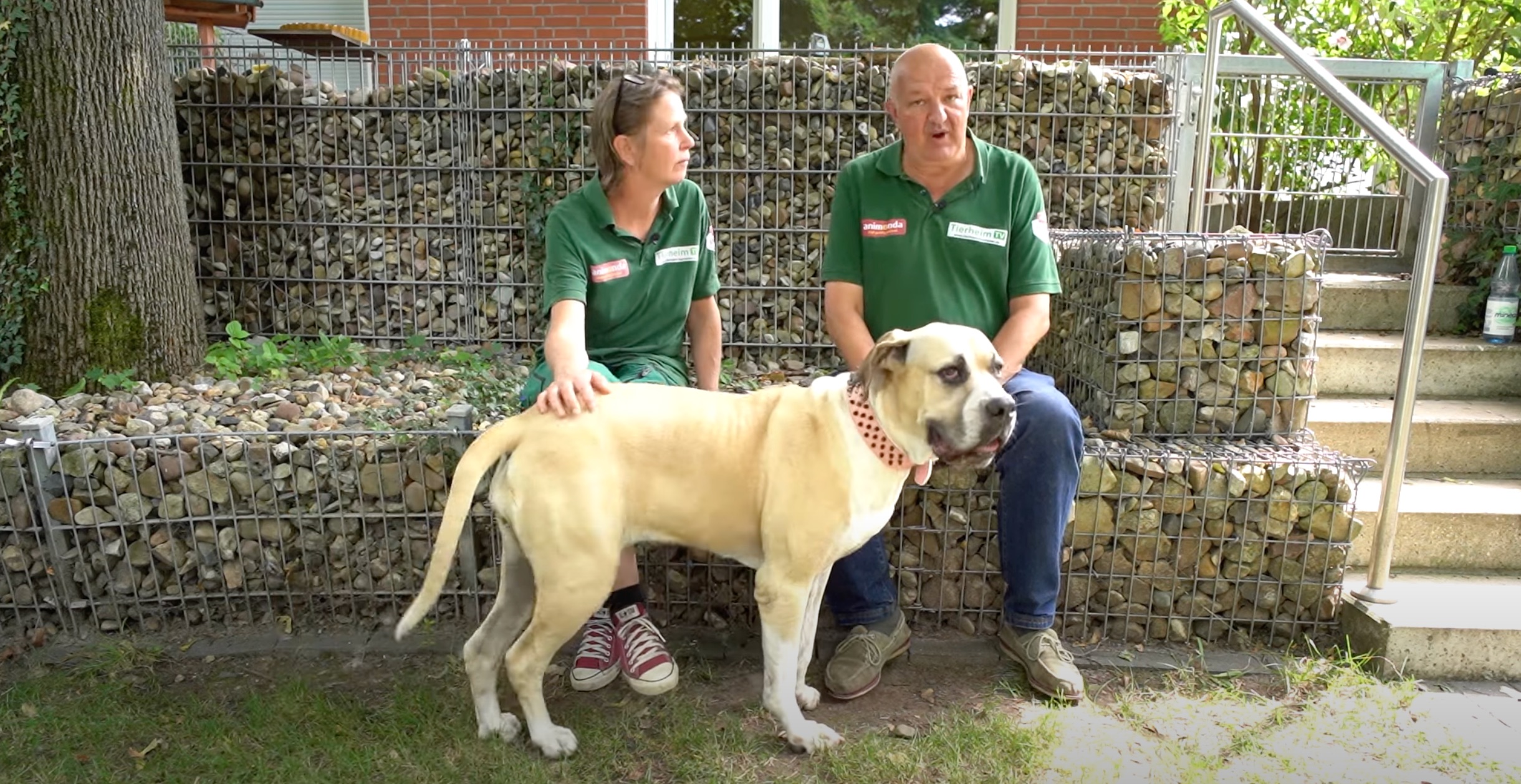 Emma TierheimTV Vorschau