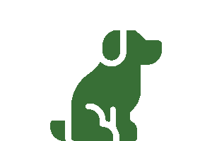 Aktuelle Anzahl Tiere im Tierheim Hannover