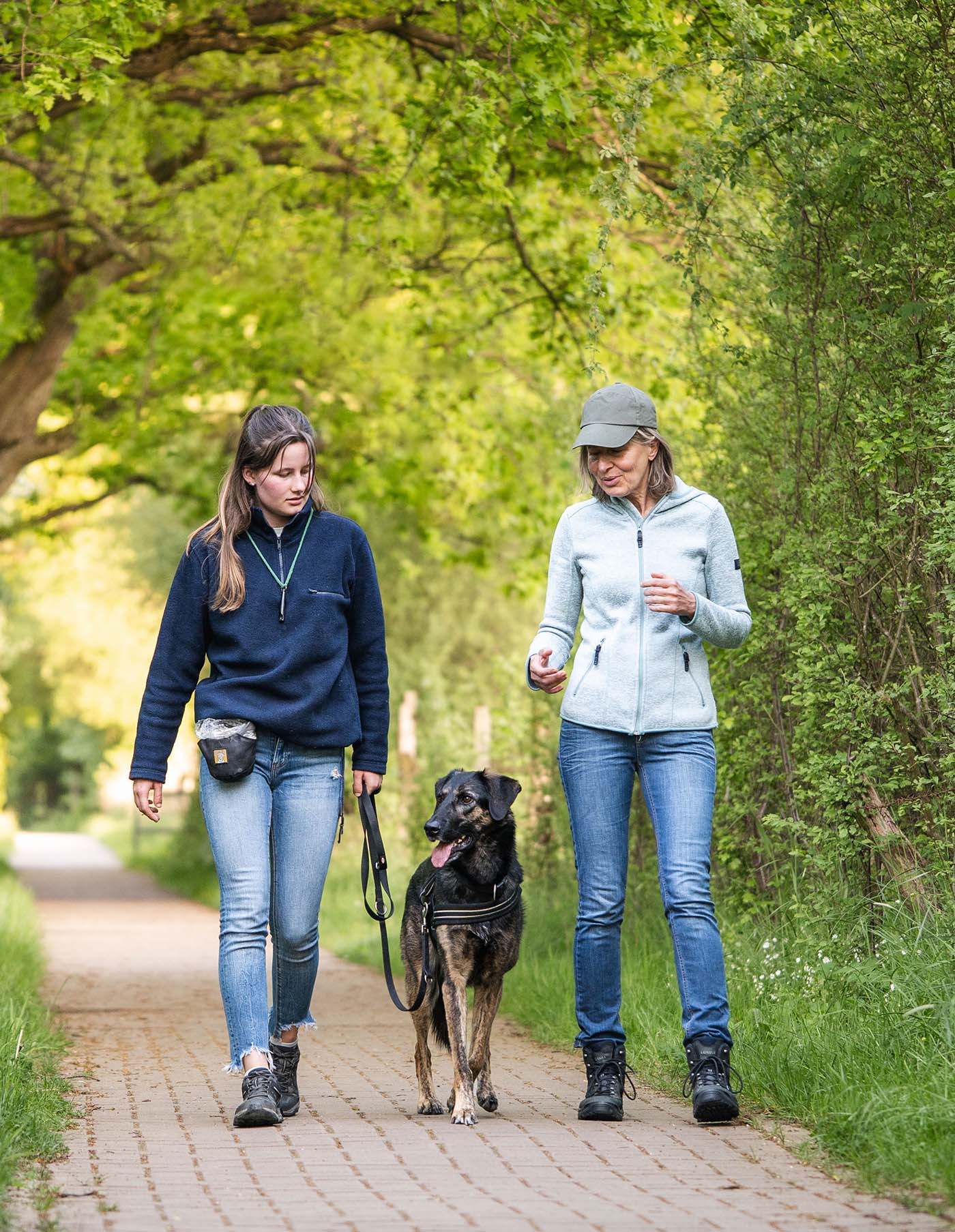Gastvermittlung von Halter zu Halter