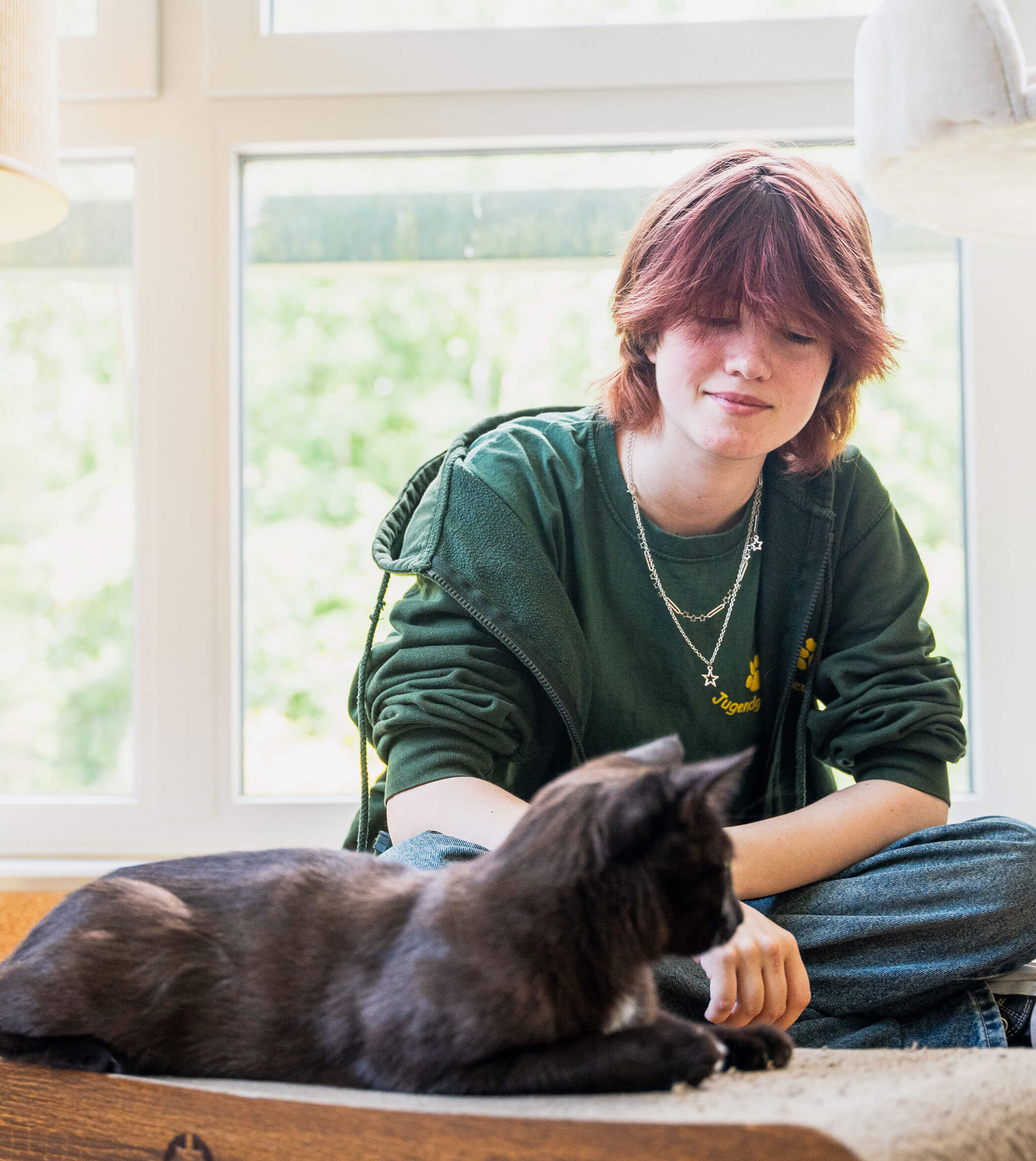 Katzenhilfe Hannover - Streunerkatzen