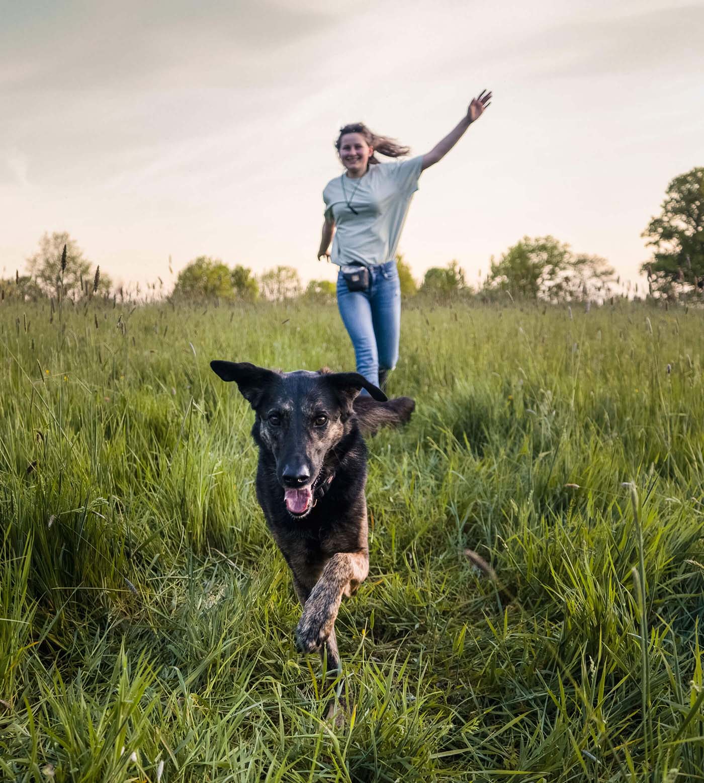 Gassigeher gesucht! Fröhlicher Hund geht mit Freiwilliger Helferin Gassi
