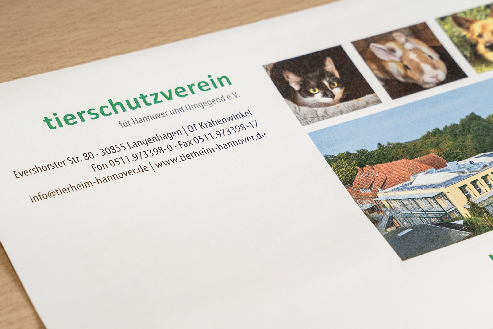 Wer wir sind - Tierheim Hannover