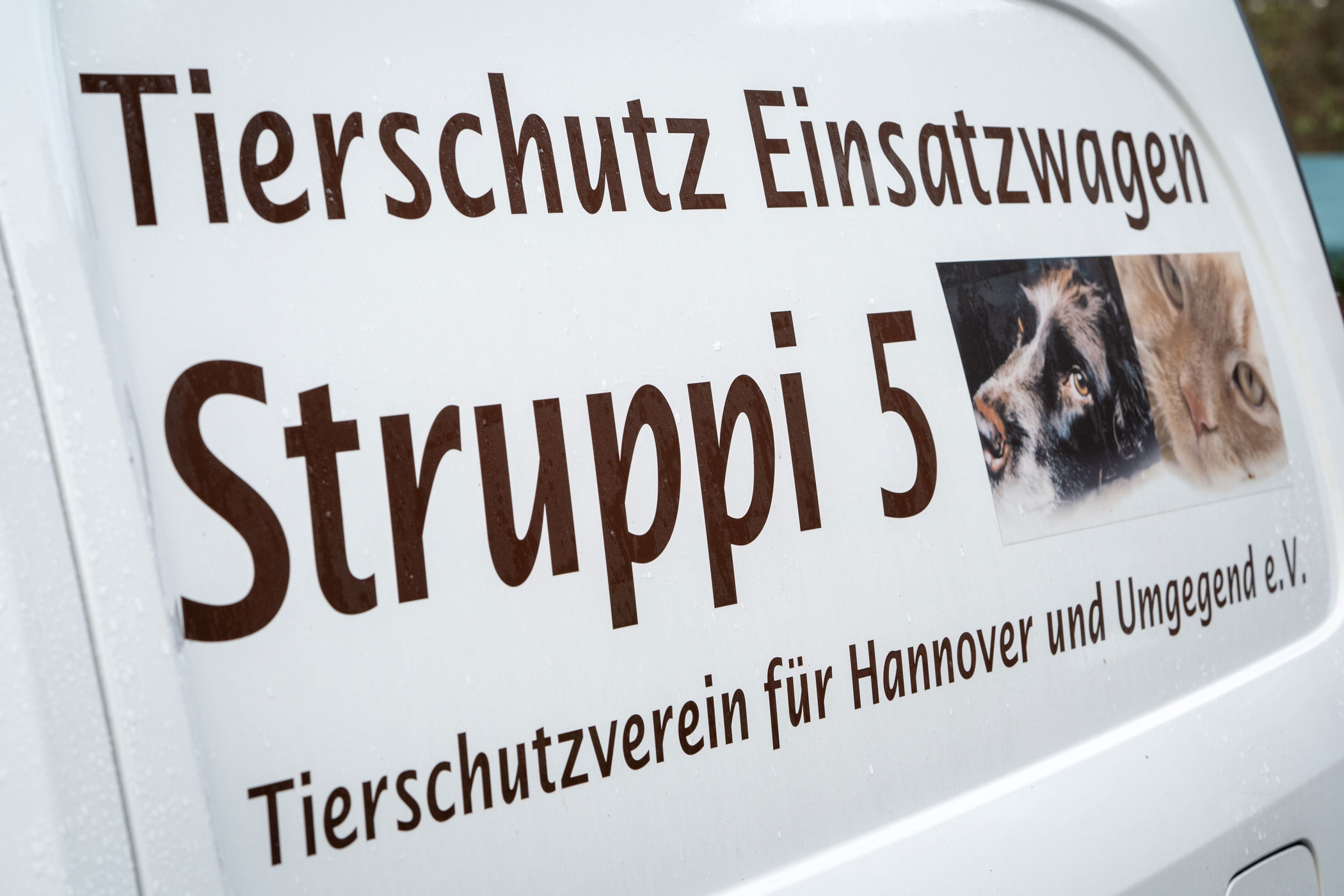 Tierschutzverein - Wer wir sind