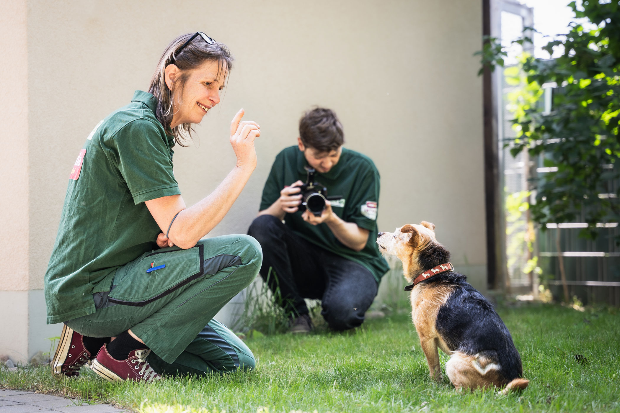 Wer wir sind - Tierheim-TV
