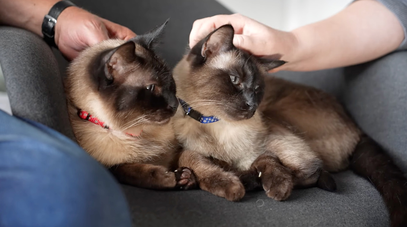 Oskar und Janosch - Happy End