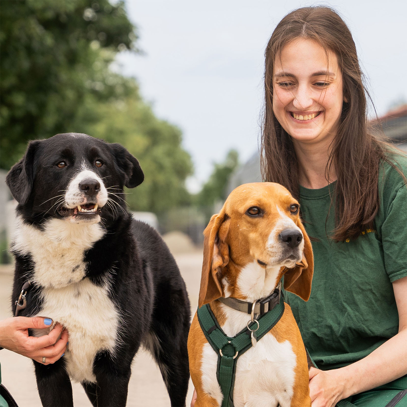 Kennenlernen - Tierheim Hannover