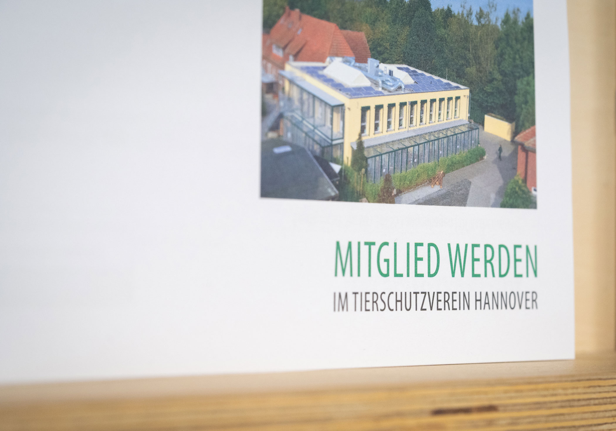 Mitglied werden Tierschutzverein