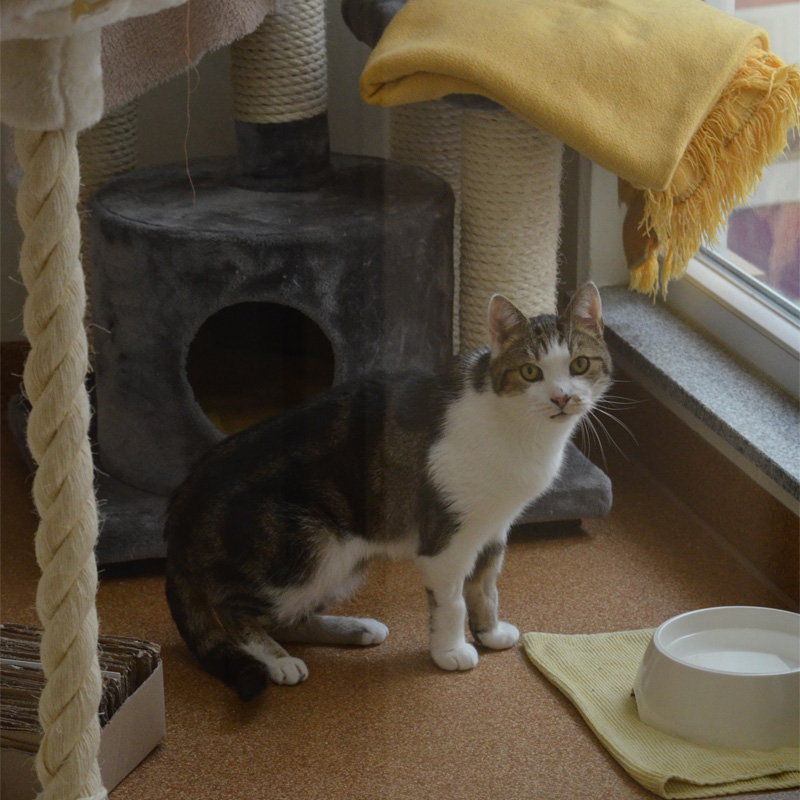 ace1-profilbild-20230621