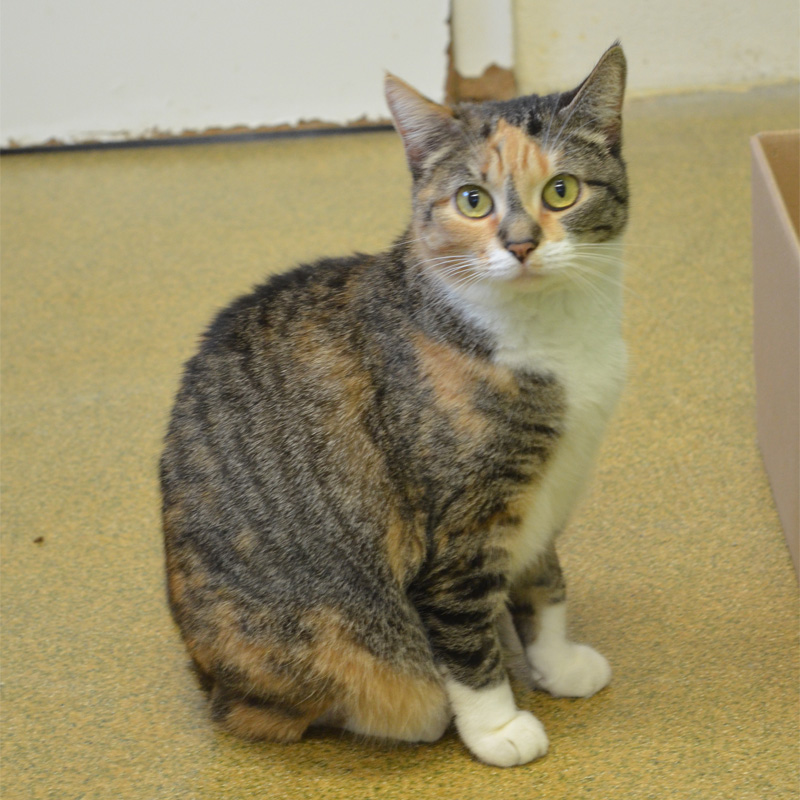 bella1-profilbild-20240210