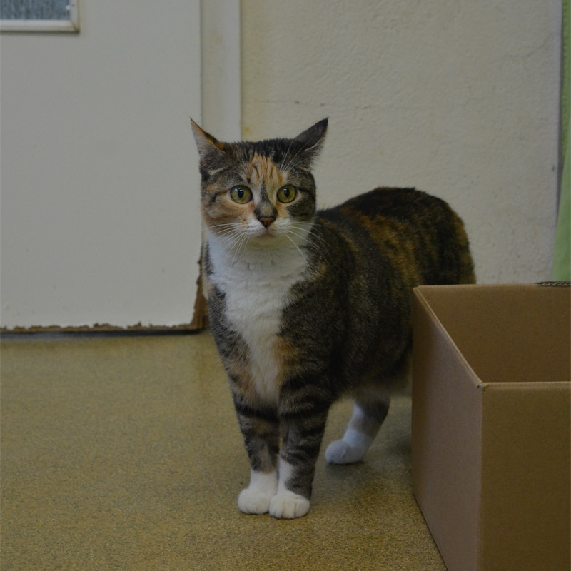 bella2-profilbild-20240210