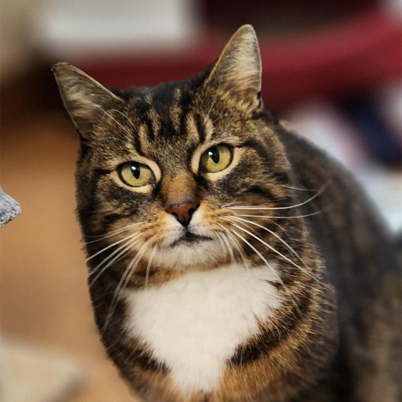 bibi-titelbild-20240314