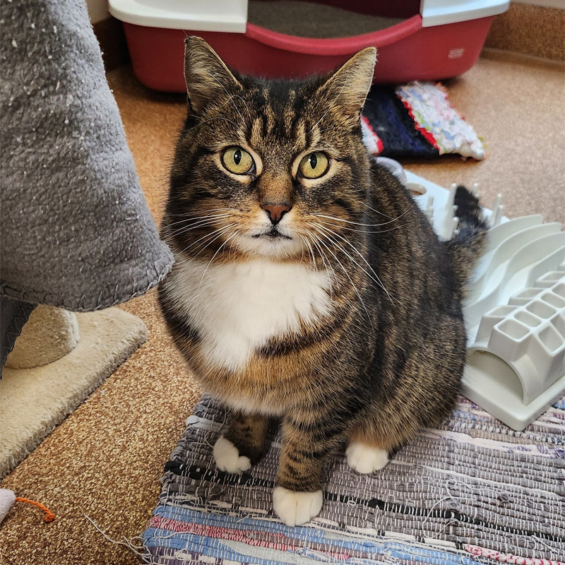 bibi1-profilbild-20240314