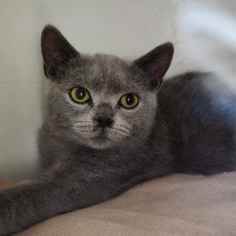 bino1-profilbild-20250709