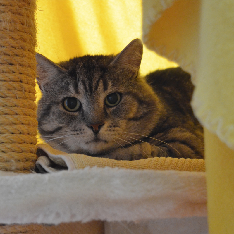 bodo-titelbild-20230621