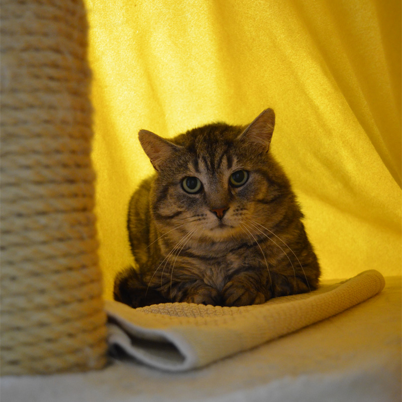 bodo1-profilbild-20230621