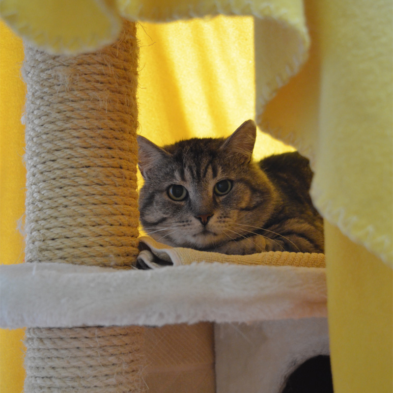 bodo2-profilbild-20230621