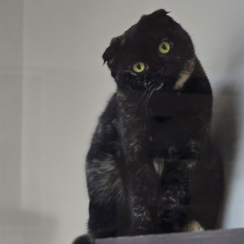 delia1-profilbild-20241105