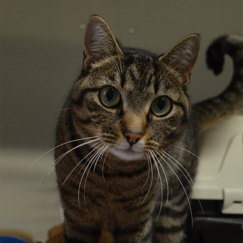 effi-titelbild-20240210