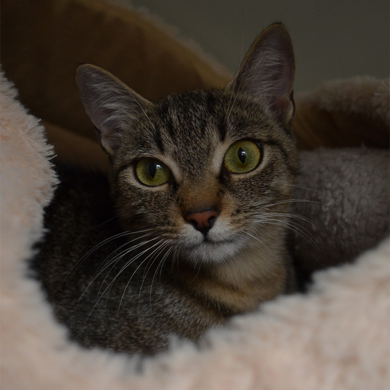 effi1-profilbild-20240210