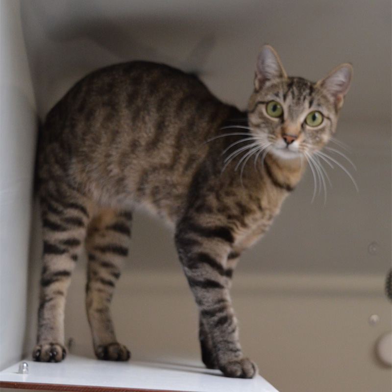 effi2-profilbild-20240210