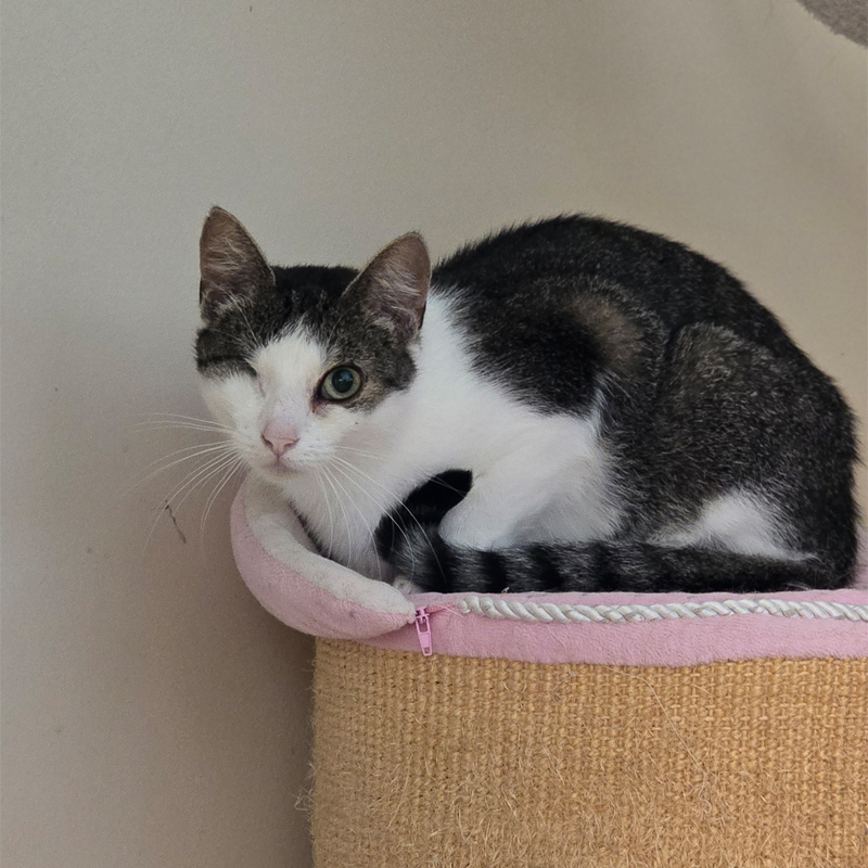 gabi1-profilbild-20250806