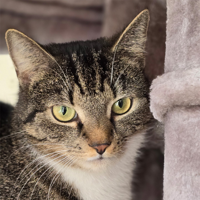 grace-titelbild-20240314