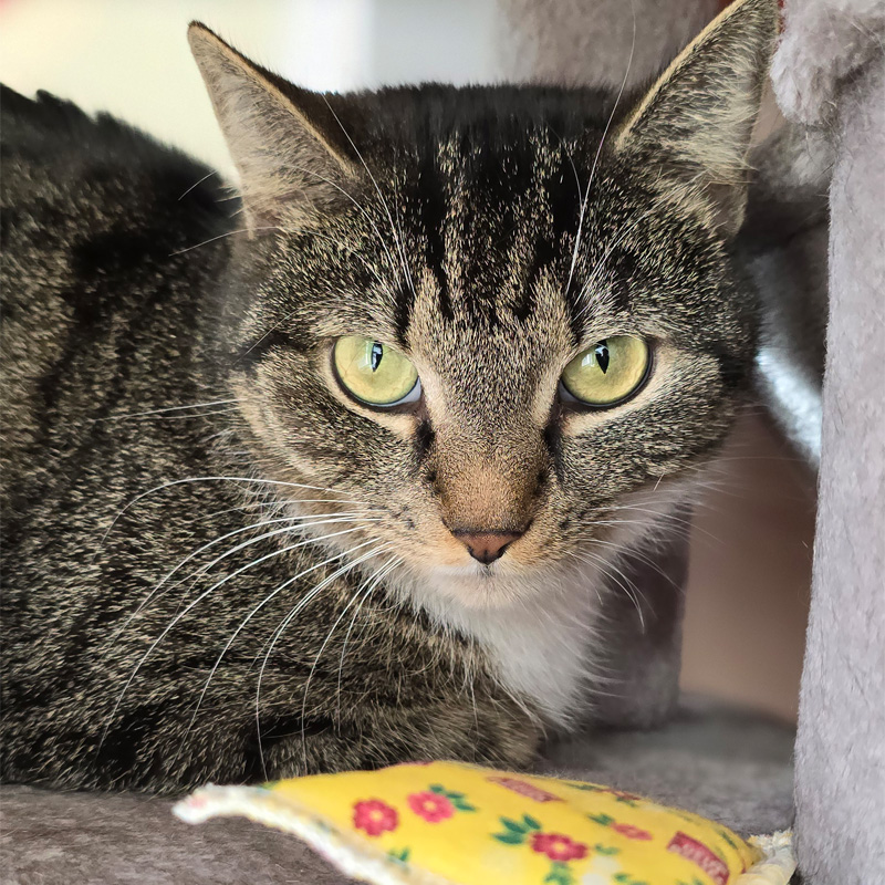 grace1-profilbild-20240314