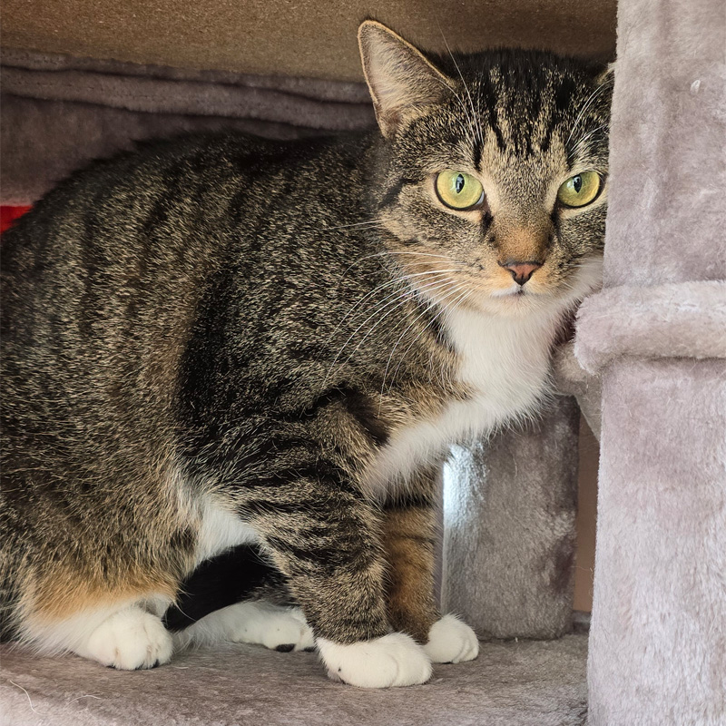 grace2-profilbild-20240314