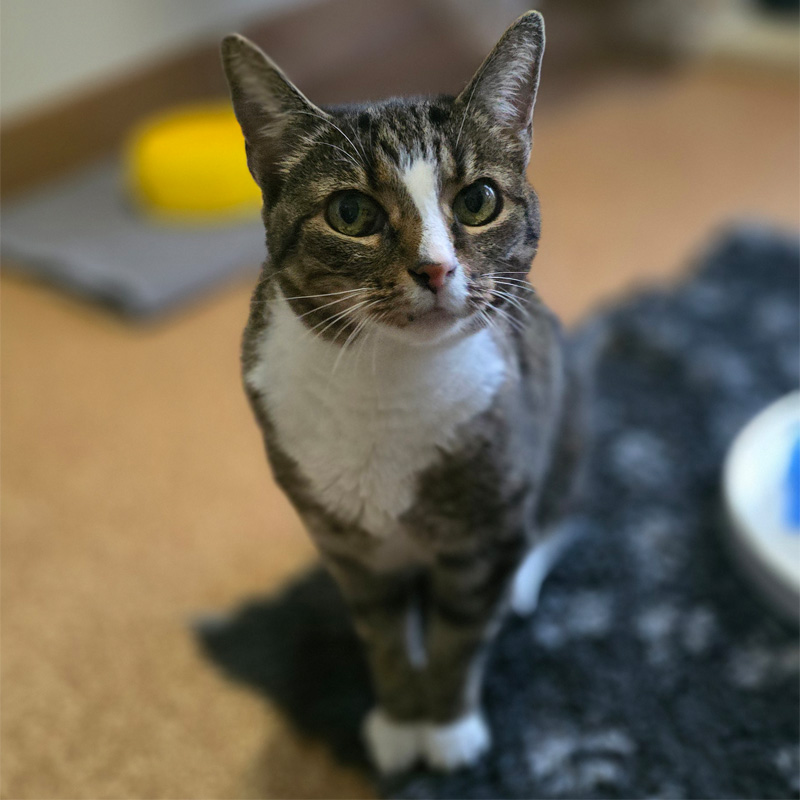 gudrun1-profilbild-20241115