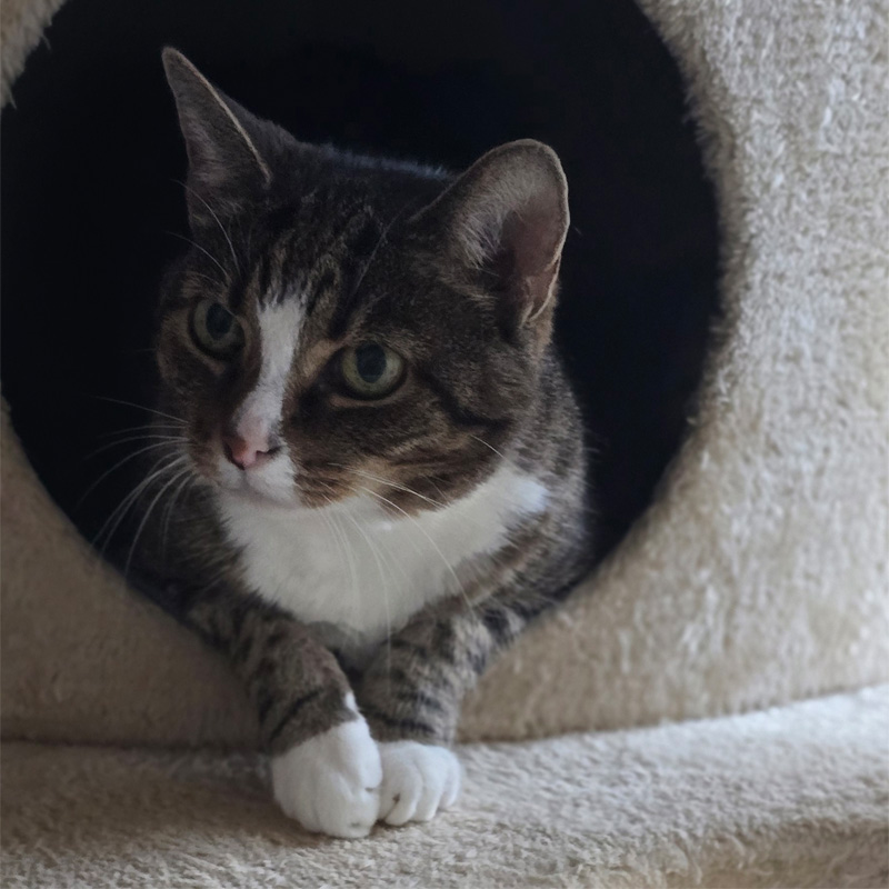 gudrun2-profilbild-20241115