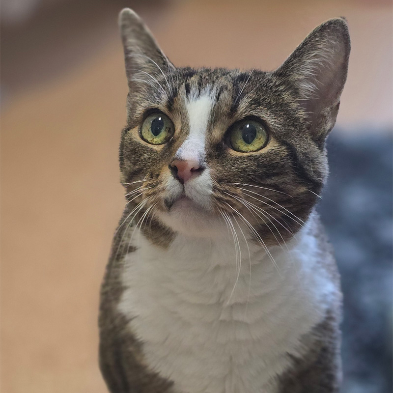 gudrun3-profilbild-20241115