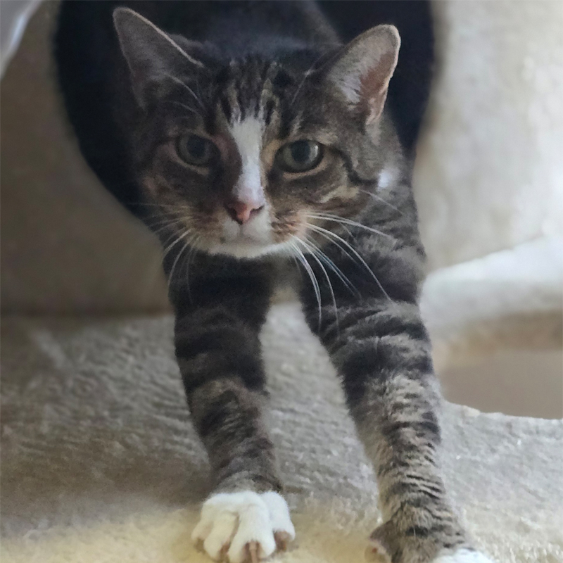 gudrun4-profilbild-20241115