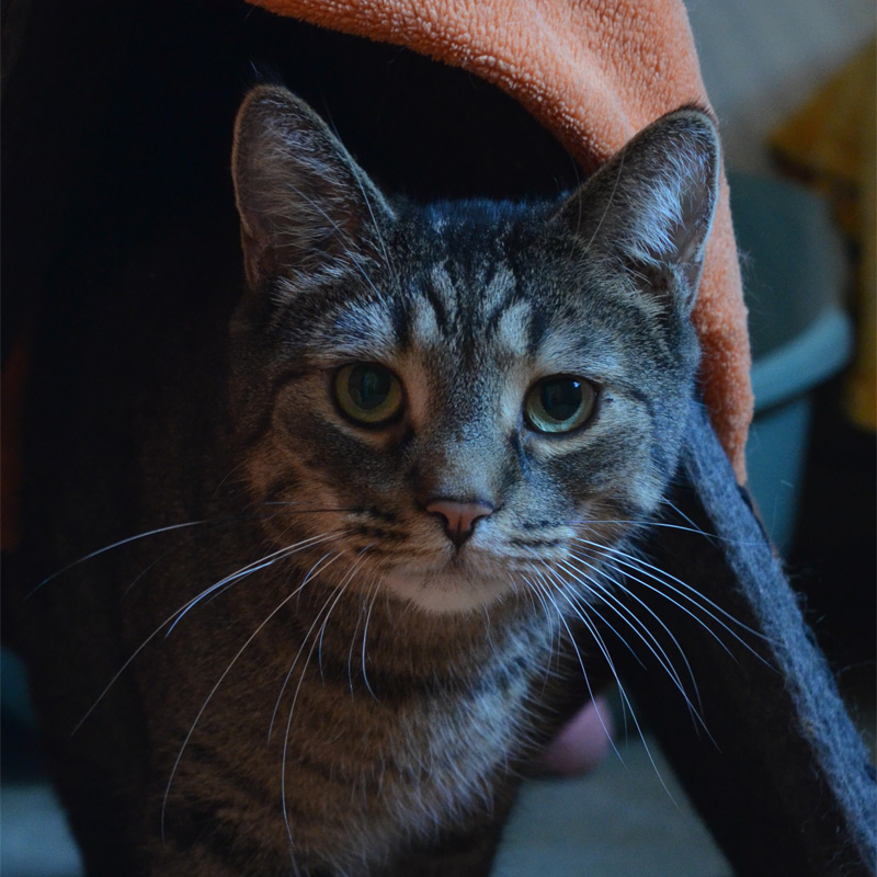 jack-titelbild-20240210