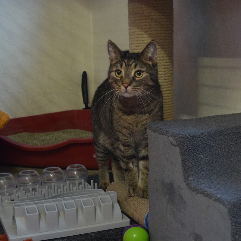 jack1-profilbild-20240210