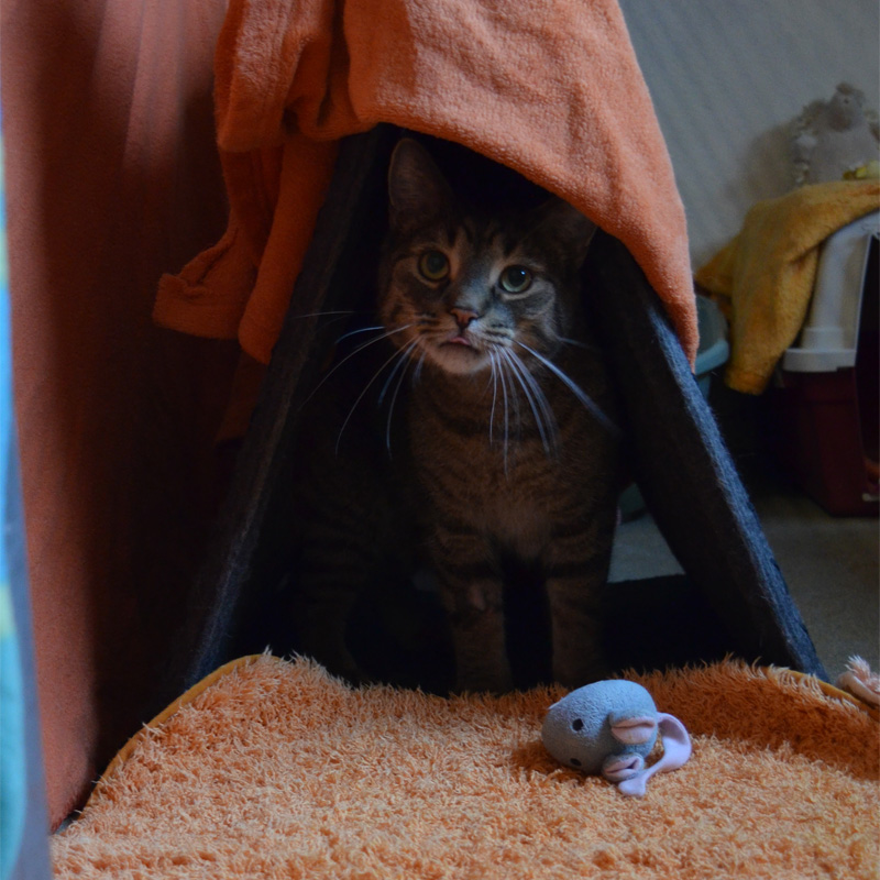 jack2-profilbild-20240210