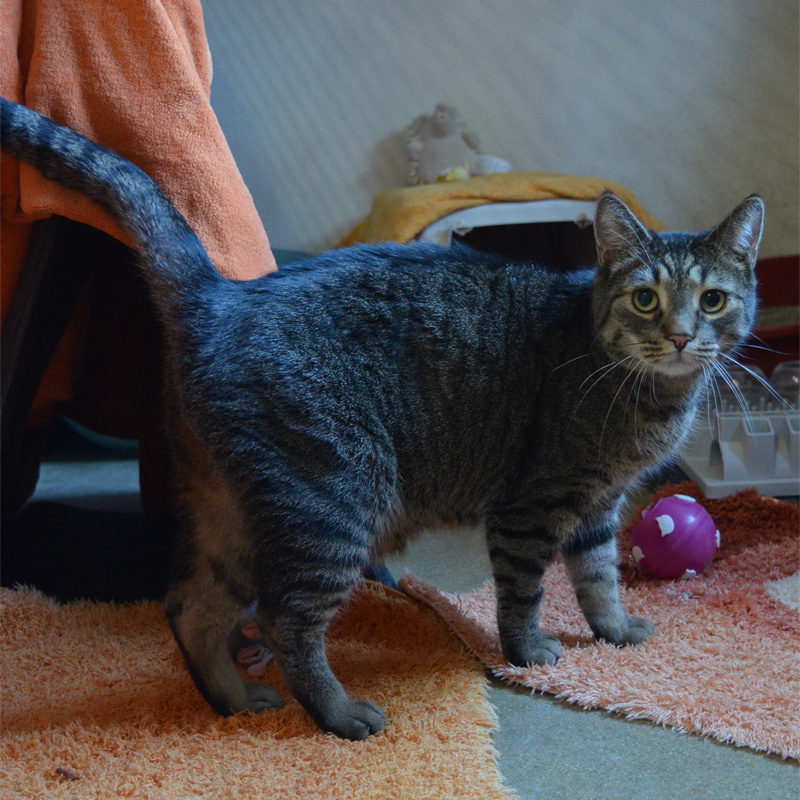 jack3-profilbild-20240210