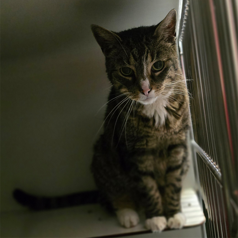 kaigo1-profilbld-20250519