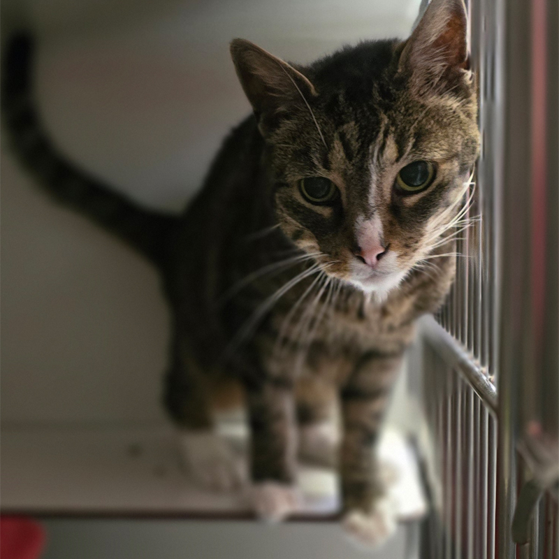 kaigo2-profilbld-20250519