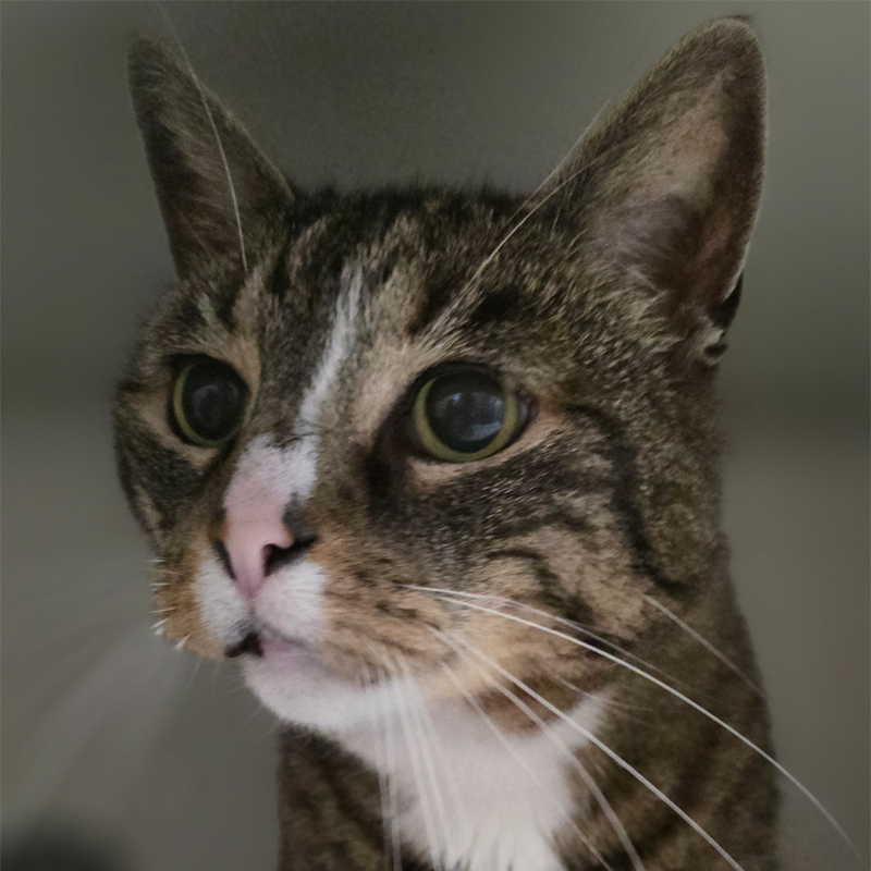 kaigo3-profilbld-20250519