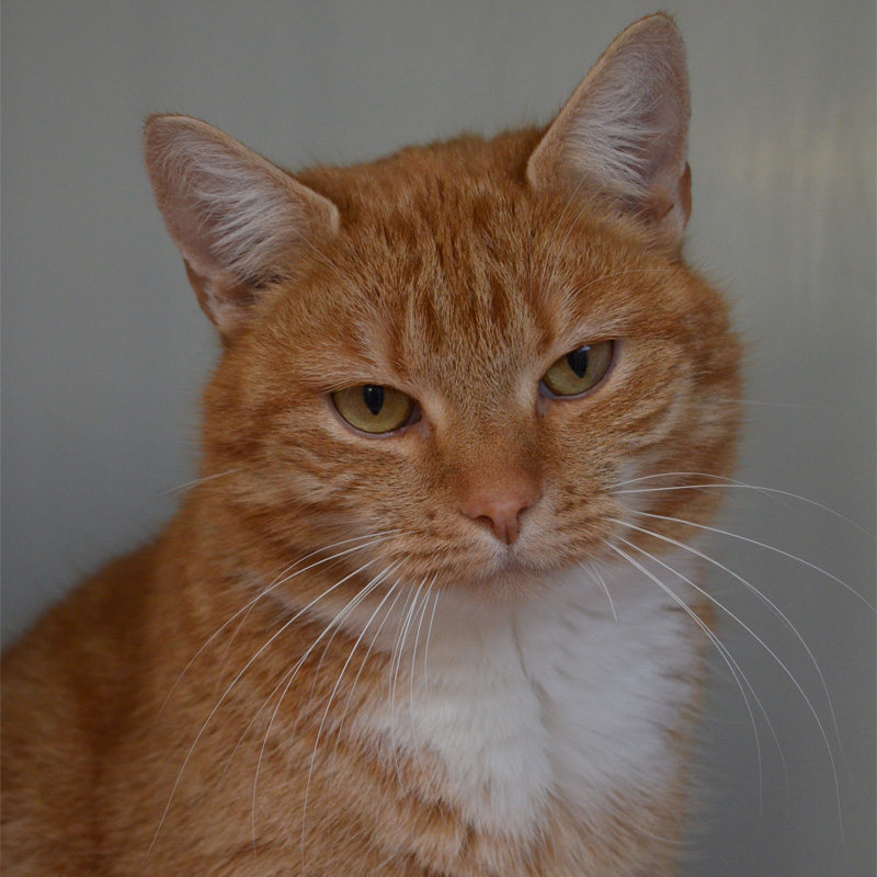 kaja-titelbild-20240206-1