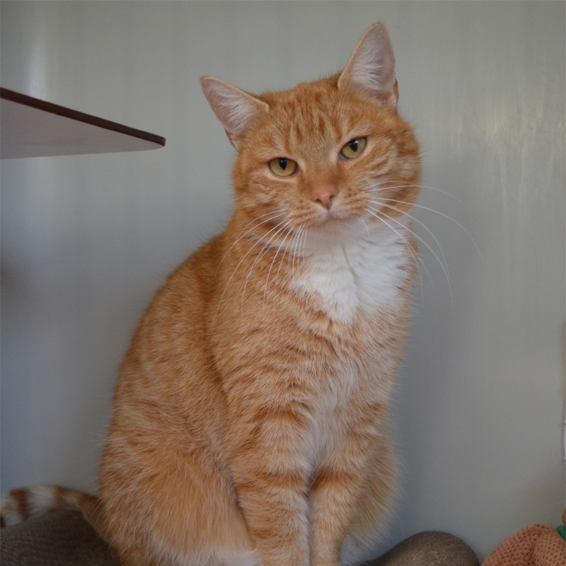 kaja1-profilbild-20240206-1