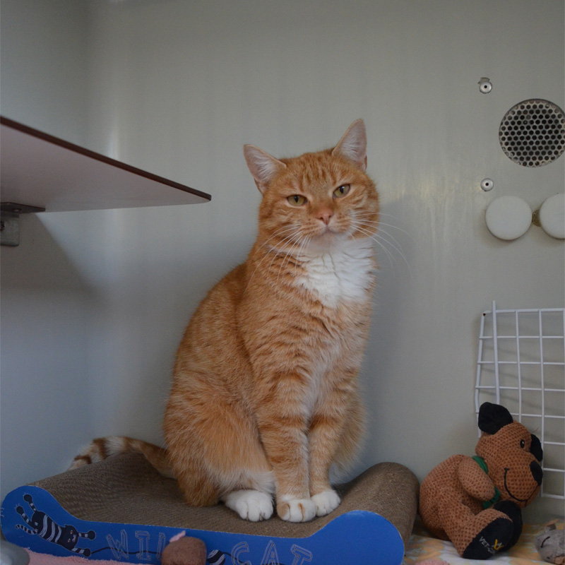 kaja2-profilbild-20240206-1