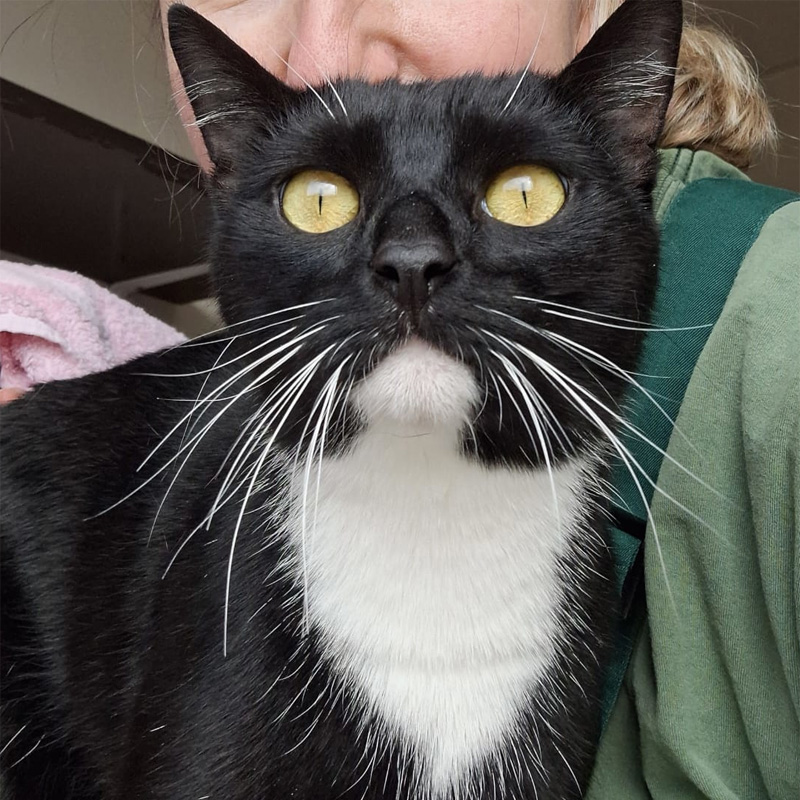 kami1-profilbild-20240314