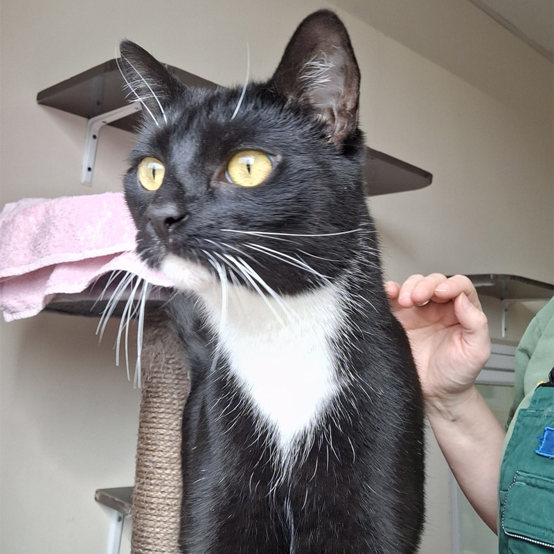 kami2-profilbild-20240314