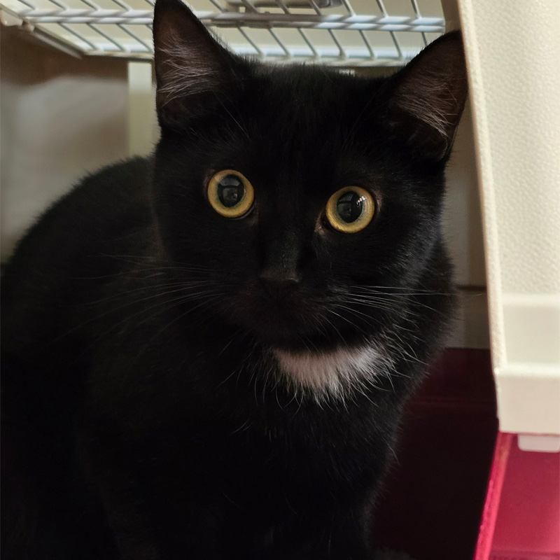 kimmi-titelbild-20240314