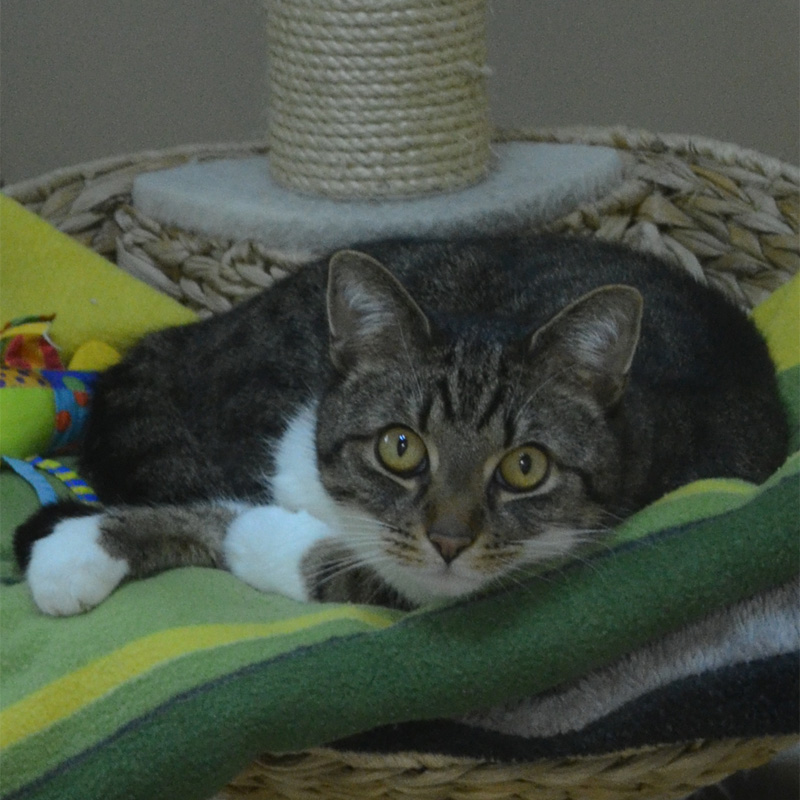 liam-titelbild-20240301