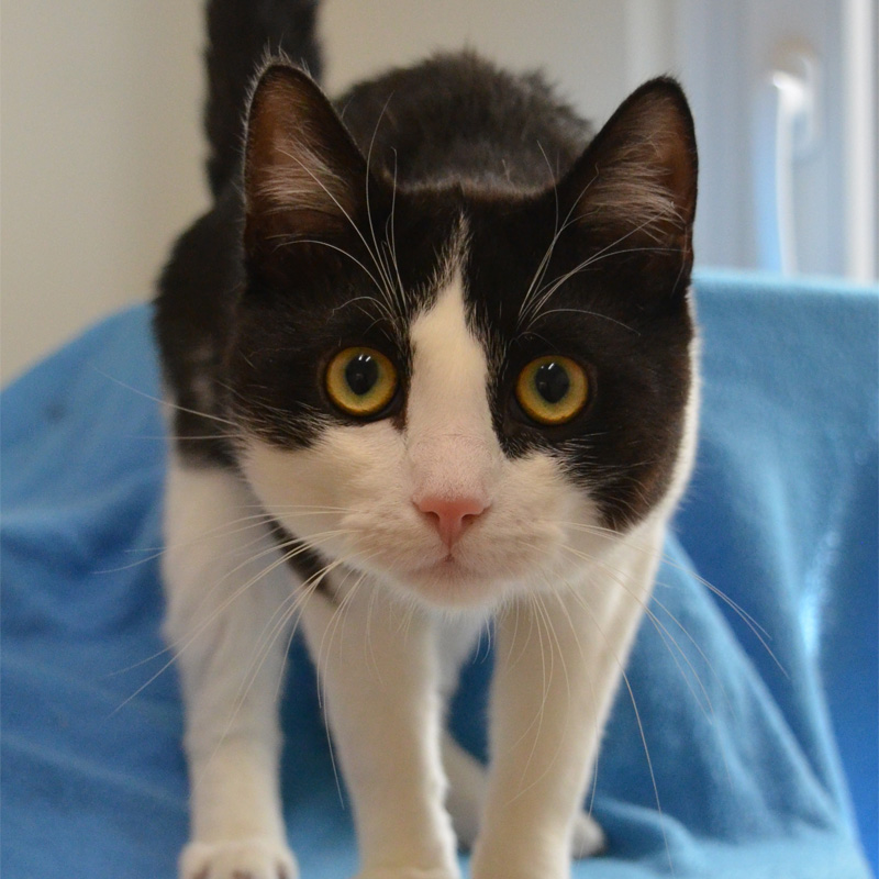 livius-titelbild-20230621