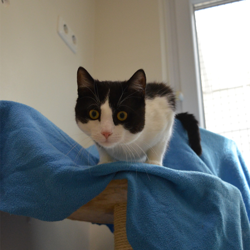 livius1-profilbild-20230621-1