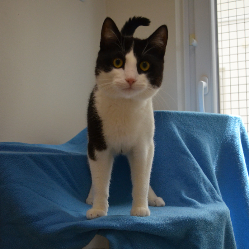 livius2-profilbild-20230621