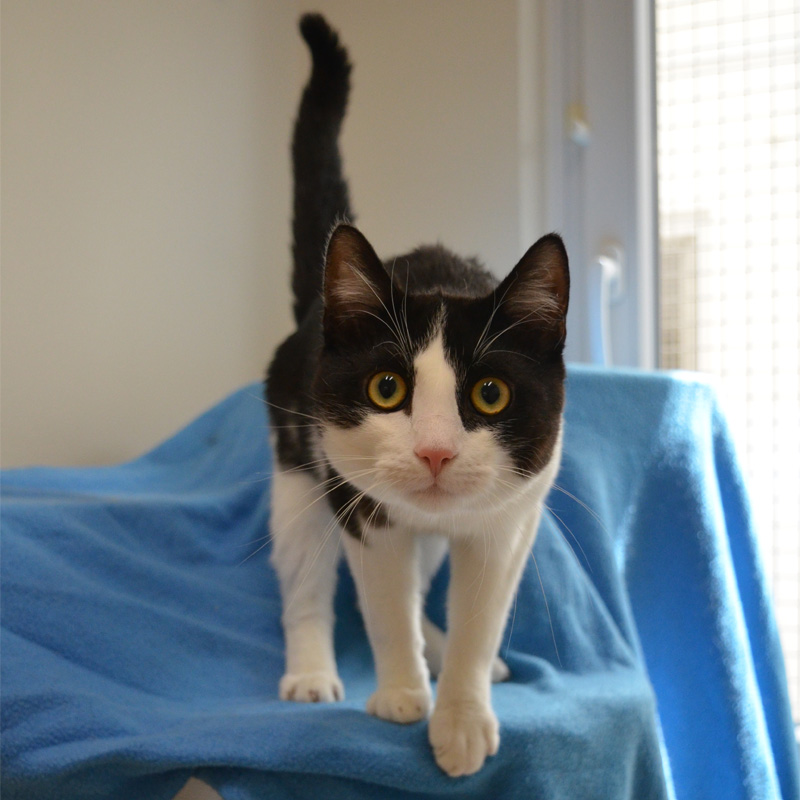 livius3-profilbild-20230621